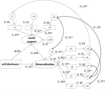 A study of the mediating effect of social support on self-disclosure and demoralization in Chinese older adult homebound breast cancer patients